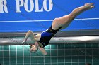 Diving vs USCGA  Wheaton College Swimming & Diving vs US Coast Guard Academy. - Photo By: KEITH NORDSTROM : Wheaton, Swimming, Diving